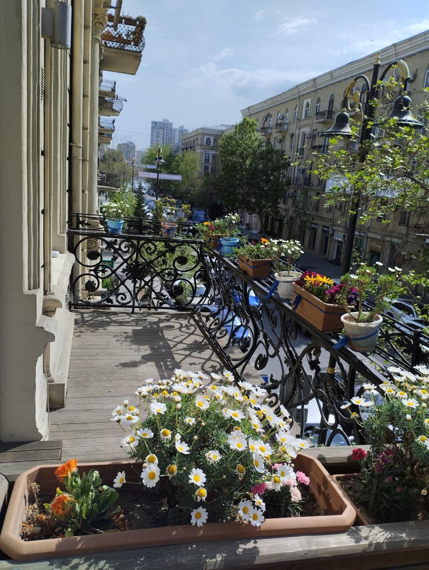 Callisto Hotel Baku Exteriör bild